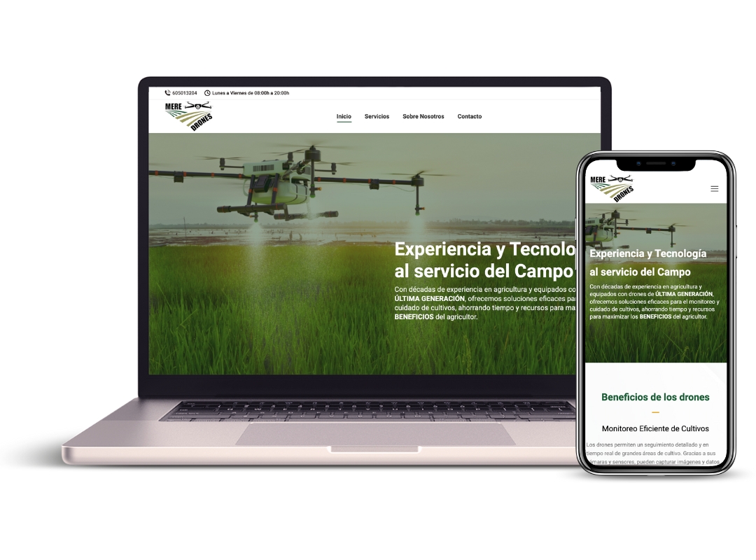 Diseño web Me Redrones